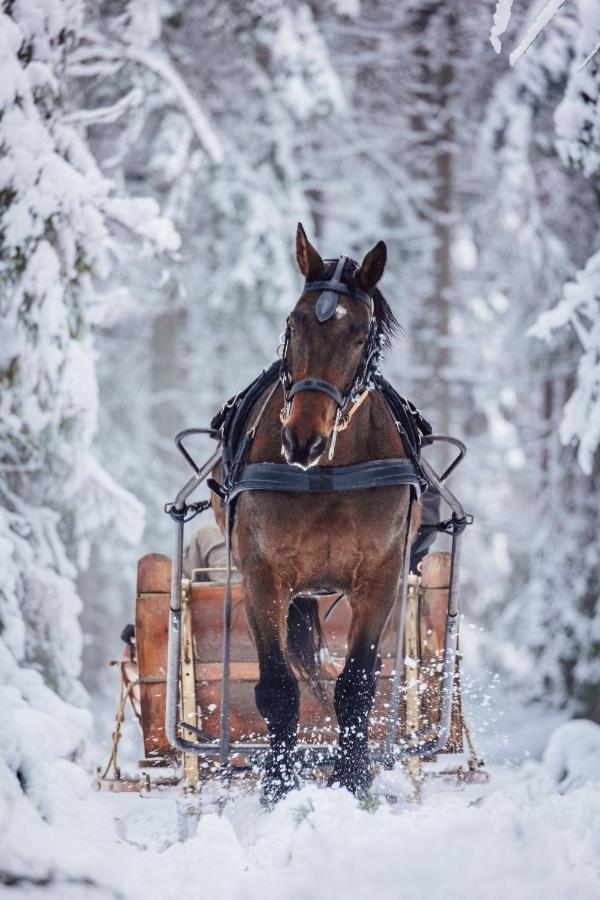 Gile -'Virs Azuolu' - Forest Spa - Horses - Lake - Chalet Villa Paplatele Exterior photo